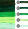 500 Pieces Green Pipe Cleaners, Chenille Stems Party Decorations(Green)
